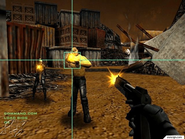 Image in-game