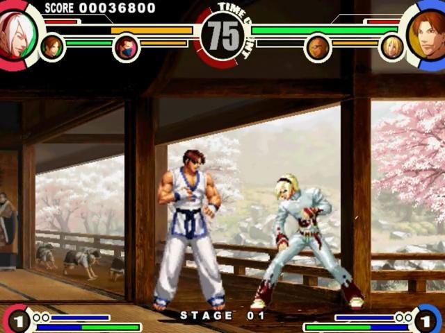 Image in-game