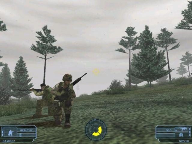 Image in-game