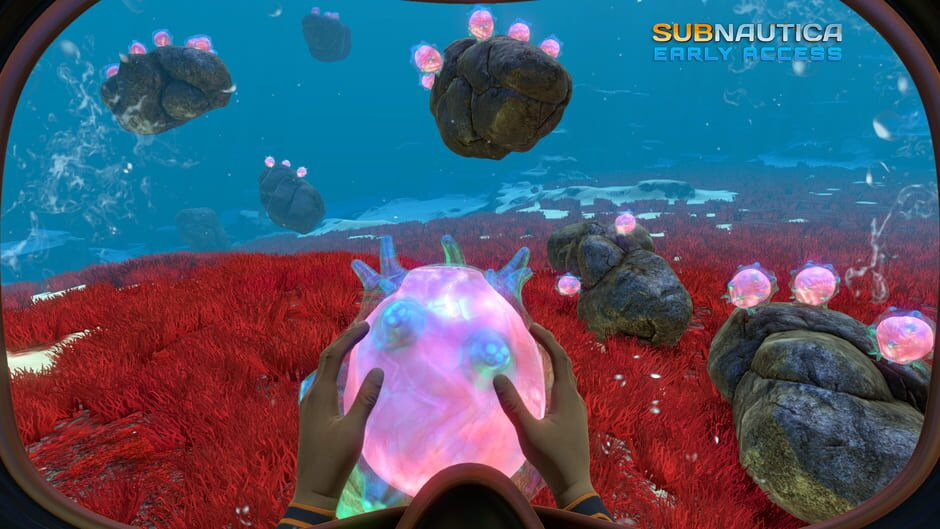 Image in-game