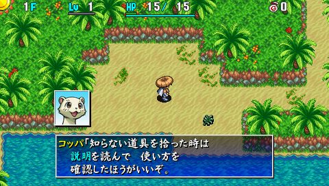 Image in-game