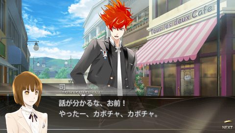 Image in-game