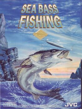 Seabass Fishing