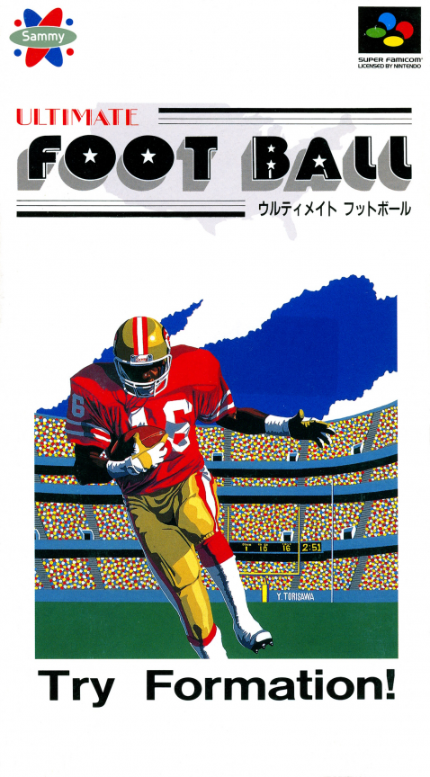 Football Fury