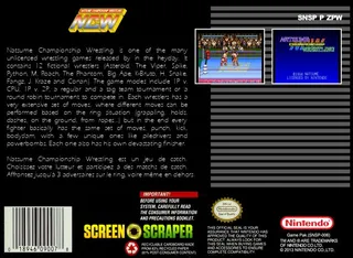 Natsume Championship Wrestling - Dos
