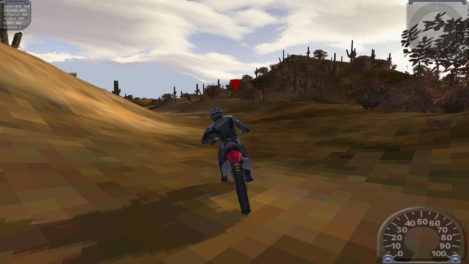 Image in-game