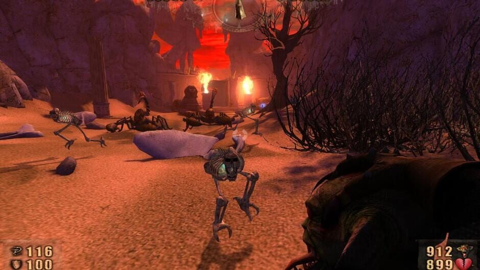 Image in-game