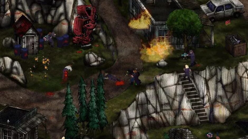 Image in-game