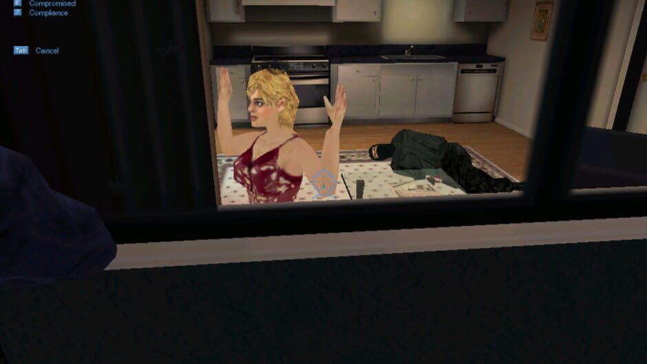 Image in-game
