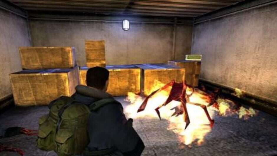 Image in-game