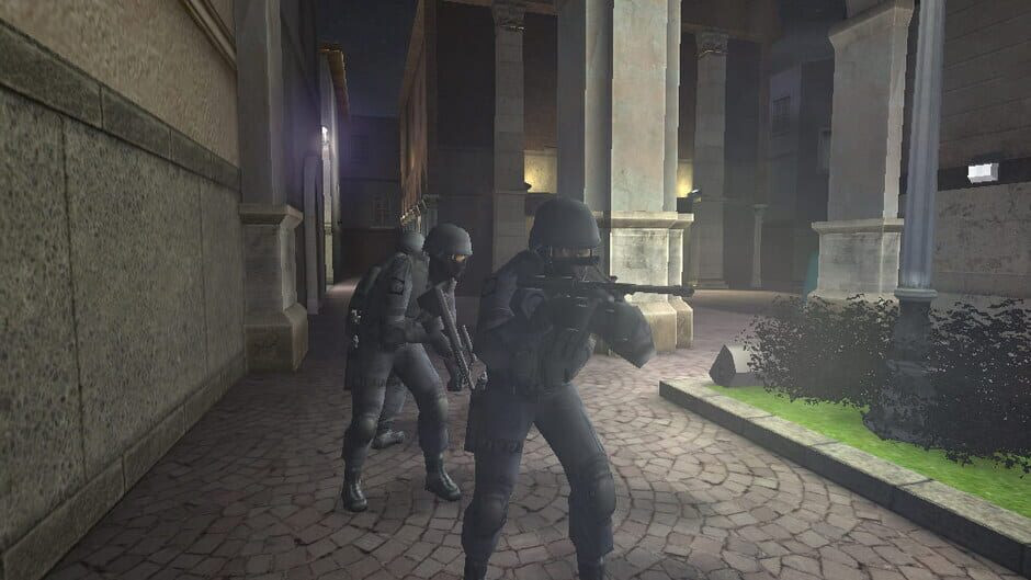 Image in-game