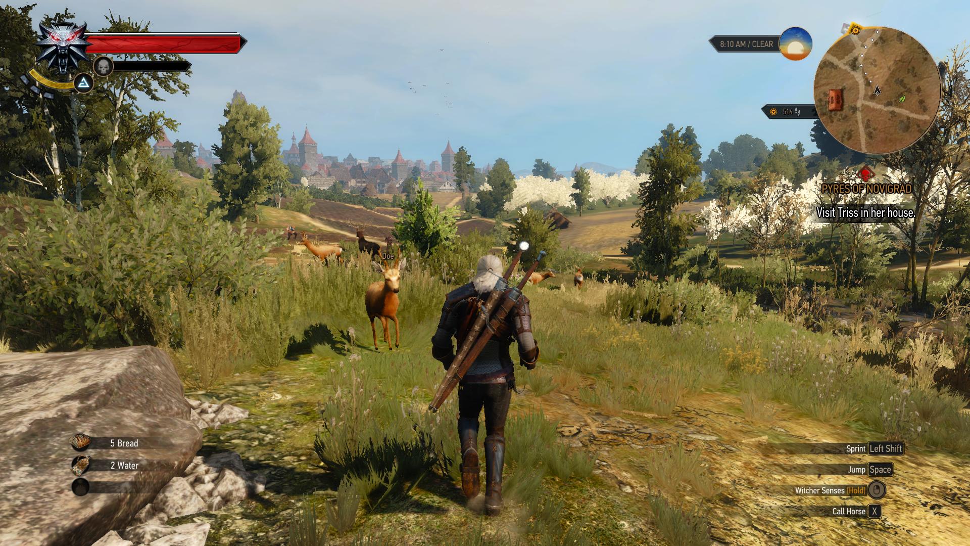 Image in-game