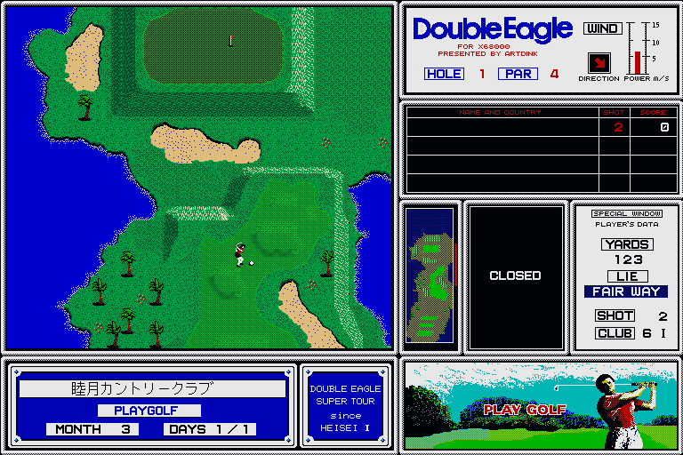 Image in-game