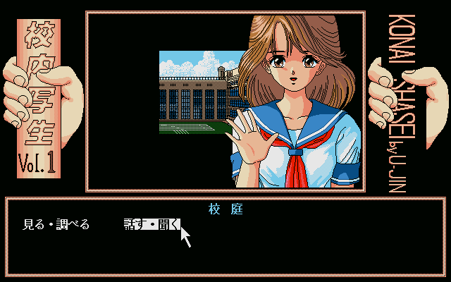Image in-game