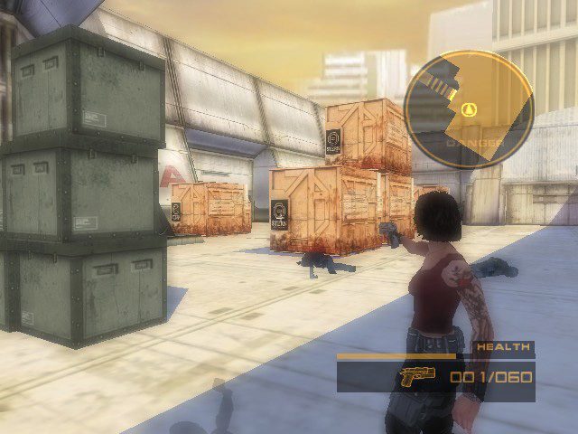Image in-game