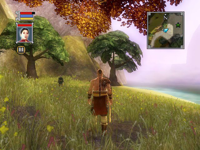 Image in-game