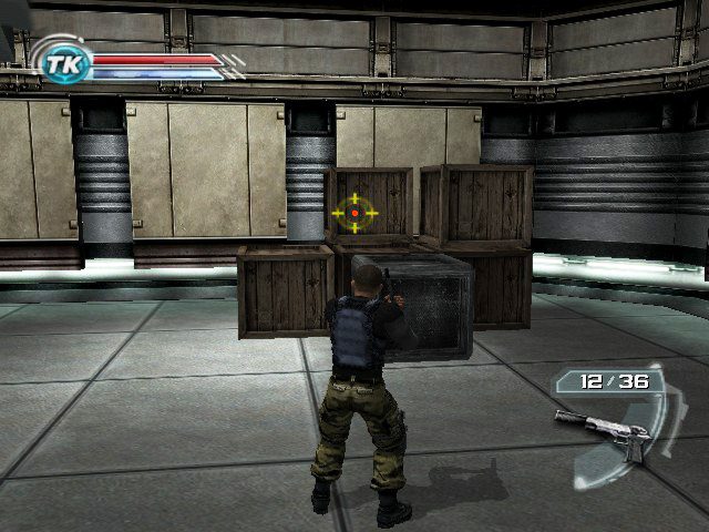 Image in-game
