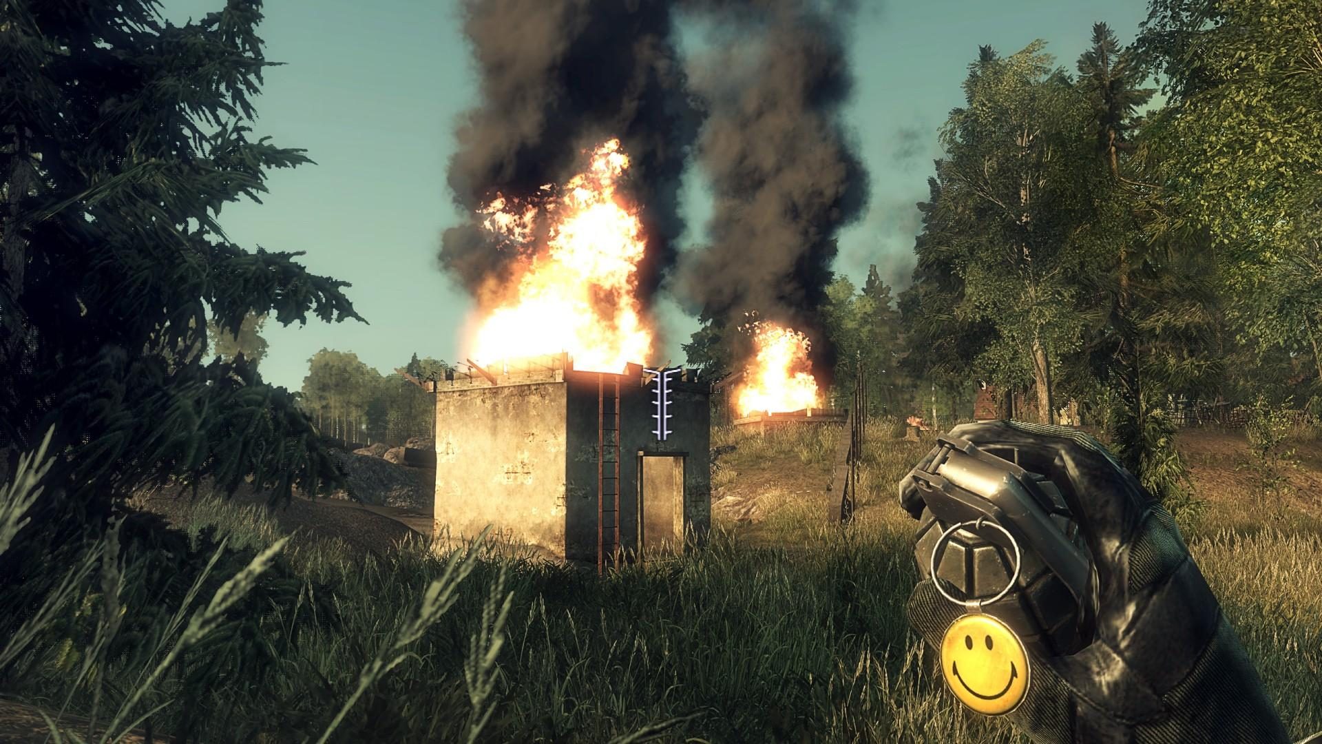 Image in-game