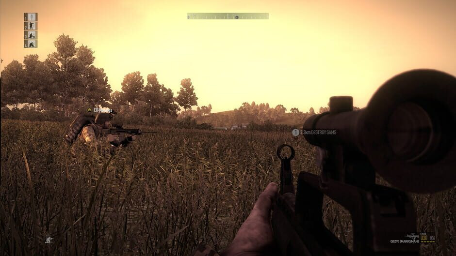 Image in-game