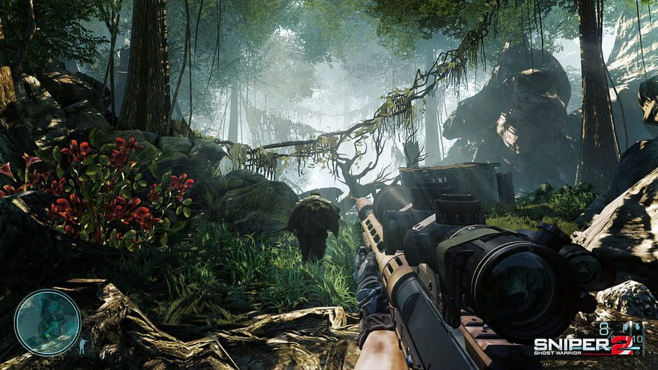 Image in-game